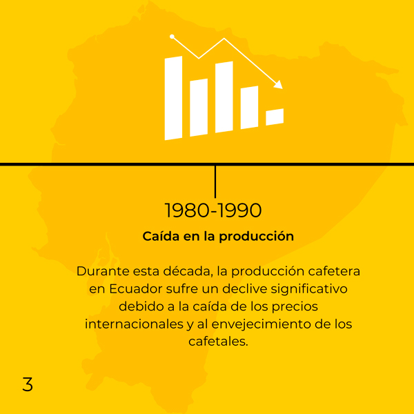 Ecuador y el café 3