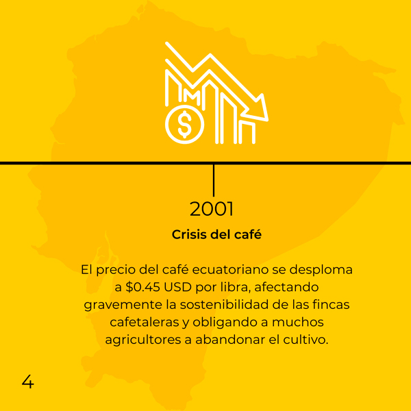Ecuador y el café 4