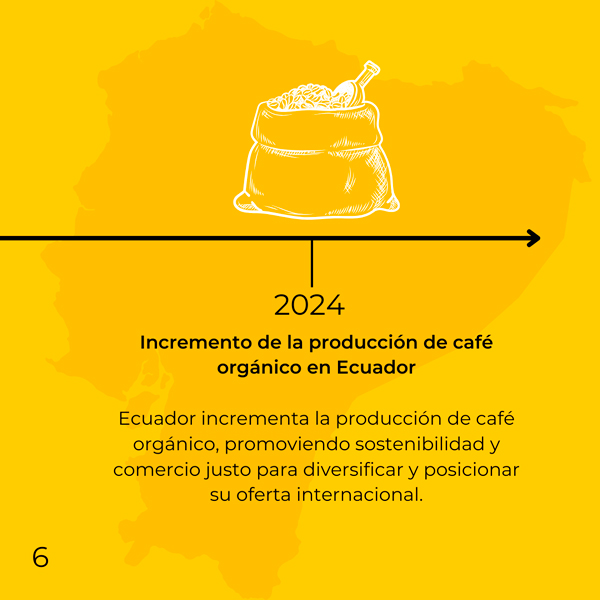 Ecuador y el café 6