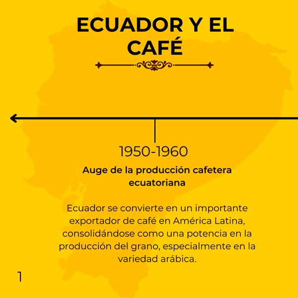 Ecuador y el café 1